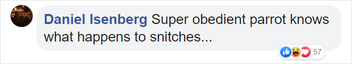 Parrot Goes To 'Jail' After Warning Its Owners About A Police Drug Raid