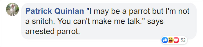 Parrot Goes To 'Jail' After Warning Its Owners About A Police Drug Raid Parrot Goes To 'Jail' After Warning Its Owners About A Police Drug Raid