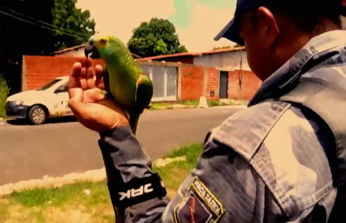 Parrot Goes To 'Jail' After Warning Its Owners About A Police Drug Raid