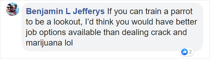 Parrot Goes To 'Jail' After Warning Its Owners About A Police Drug Raid