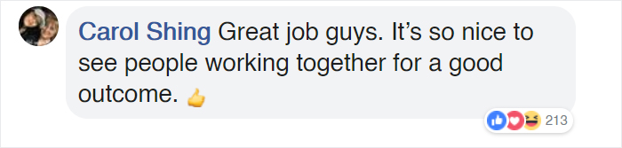 Bystanders In Brazil Teamed Up To Help A Giant Anaconda Cross The Road