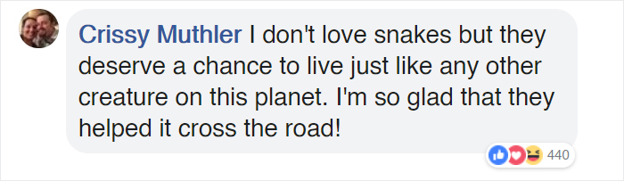 Bystanders In Brazil Teamed Up To Help A Giant Anaconda Cross The Road Bystanders In Brazil Teamed Up To Help A Giant Anaconda Cross The Road