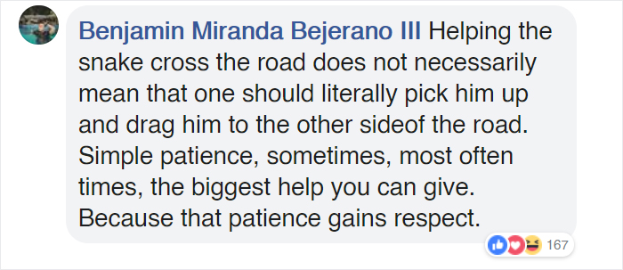 Bystanders In Brazil Teamed Up To Help A Giant Anaconda Cross The Road Bystanders In Brazil Teamed Up To Help A Giant Anaconda Cross The Road