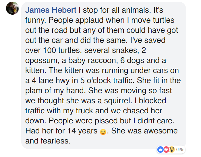 Bystanders In Brazil Teamed Up To Help A Giant Anaconda Cross The Road