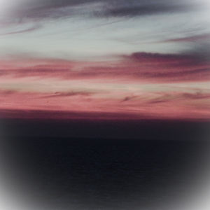 alicenotmepoo avatar