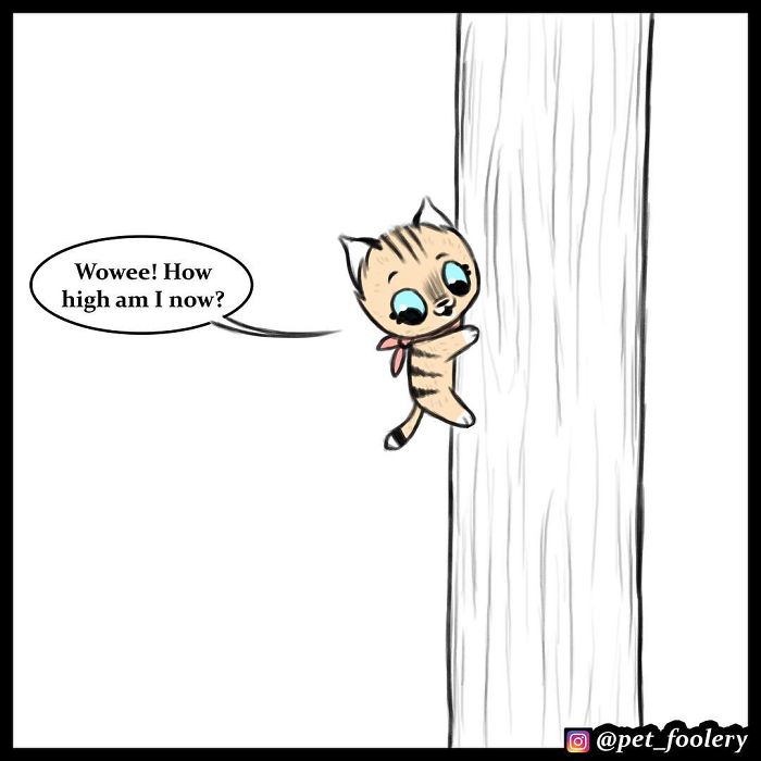 7 New Comics From The Adorable Duo Pixie And Brutus 7 New Comics From The Adorable Duo Pixie And Brutus