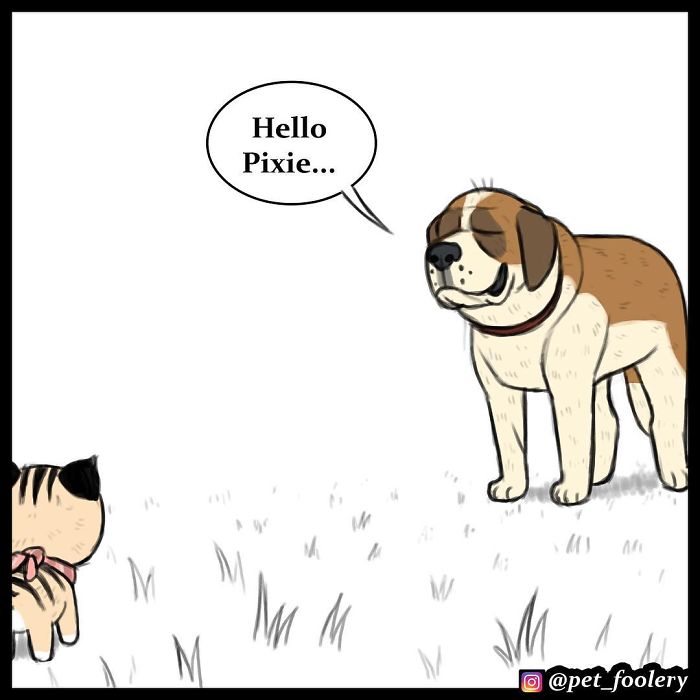 7 New Comics From The Adorable Duo Pixie And Brutus