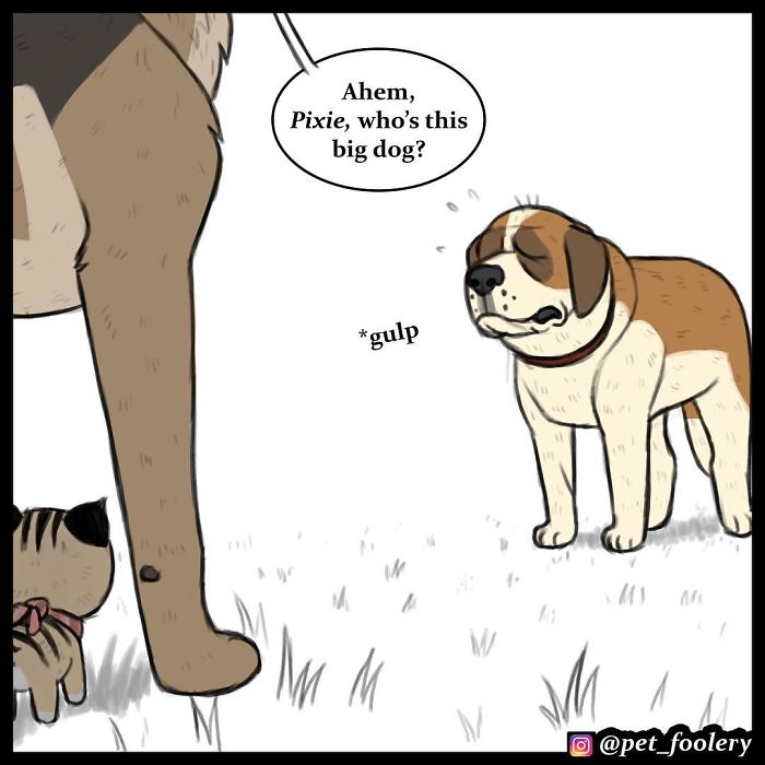 7 New Comics From The Adorable Duo Pixie And Brutus 7 New Comics From The Adorable Duo Pixie And Brutus