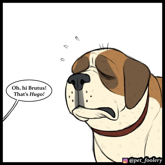 7 New Comics From The Adorable Duo Pixie And Brutus