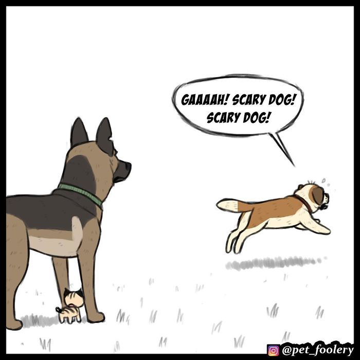 7 New Comics From The Adorable Duo Pixie And Brutus