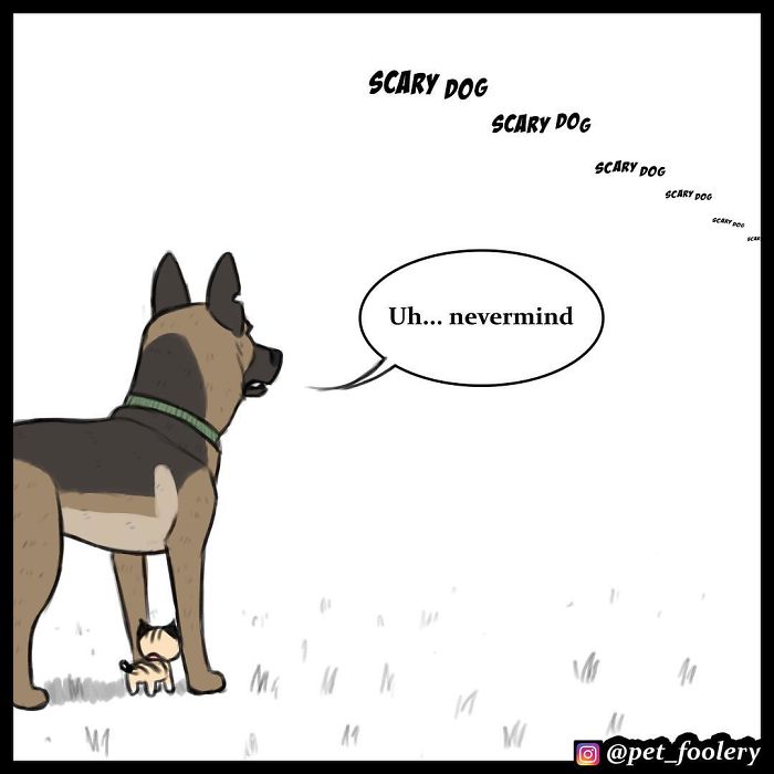 7 New Comics From The Adorable Duo Pixie And Brutus