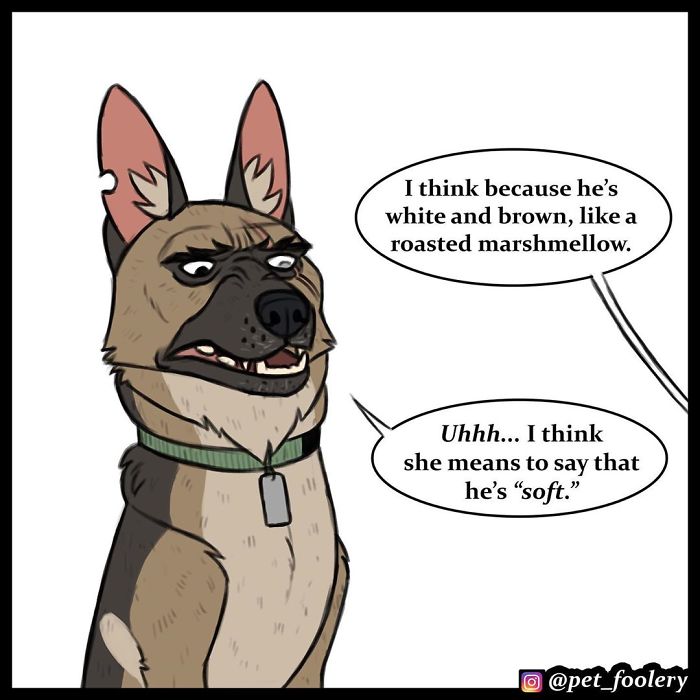 7 New Comics From The Adorable Duo Pixie And Brutus 7 New Comics From The Adorable Duo Pixie And Brutus