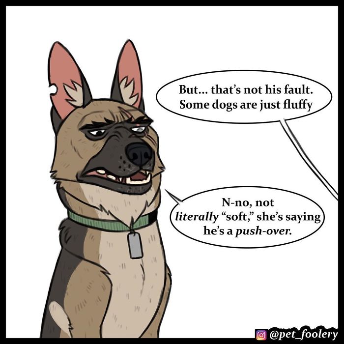 7 New Comics From The Adorable Duo Pixie And Brutus 7 New Comics From The Adorable Duo Pixie And Brutus