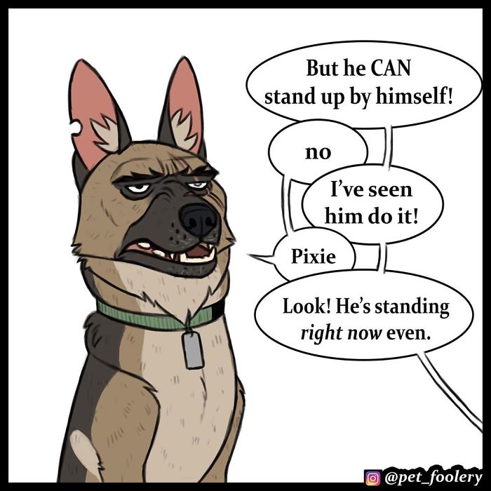 7 New Comics From The Adorable Duo Pixie And Brutus 7 New Comics From The Adorable Duo Pixie And Brutus