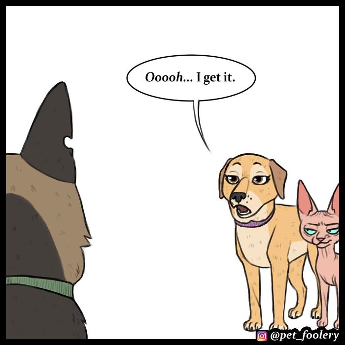 7 New Comics From The Adorable Duo Pixie And Brutus 7 New Comics From The Adorable Duo Pixie And Brutus