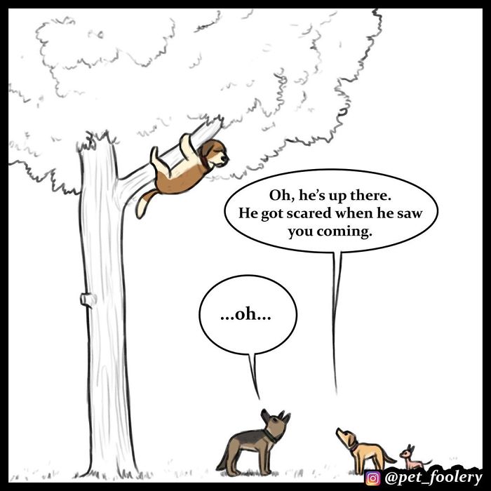 7 New Comics From The Adorable Duo Pixie And Brutus 7 New Comics From The Adorable Duo Pixie And Brutus