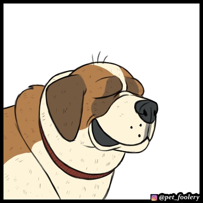 7 New Comics From The Adorable Duo Pixie And Brutus