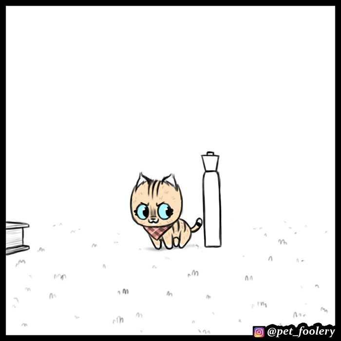 7 New Comics From The Adorable Duo Pixie And Brutus 7 New Comics From The Adorable Duo Pixie And Brutus