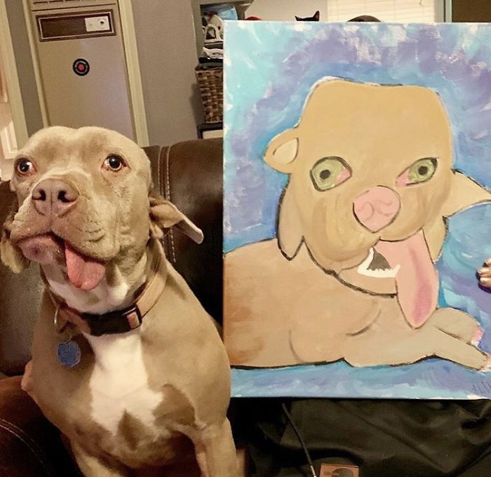 I Adopted A Stray Dog With 2 Mouths, One Where The Ear Should Be I Adopted A Stray Dog With 2 Mouths, One Where The Ear Should Be