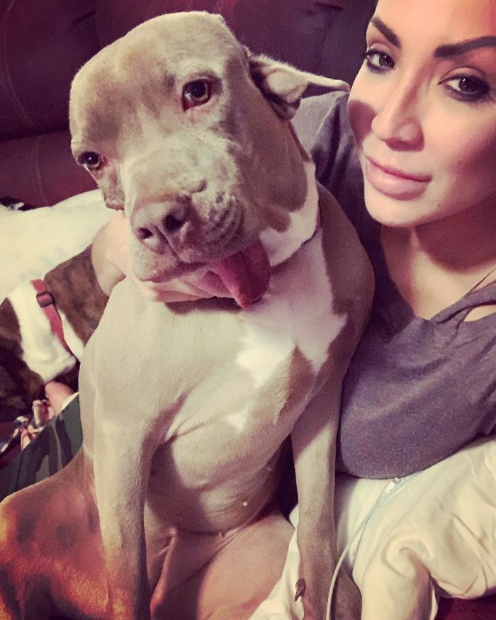 I Adopted A Stray Dog With 2 Mouths, One Where The Ear Should Be