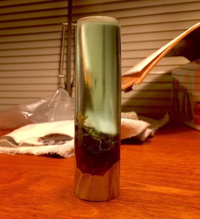 Texas Artist Uses Resin To Make Otherworldly Art (17 Pics)