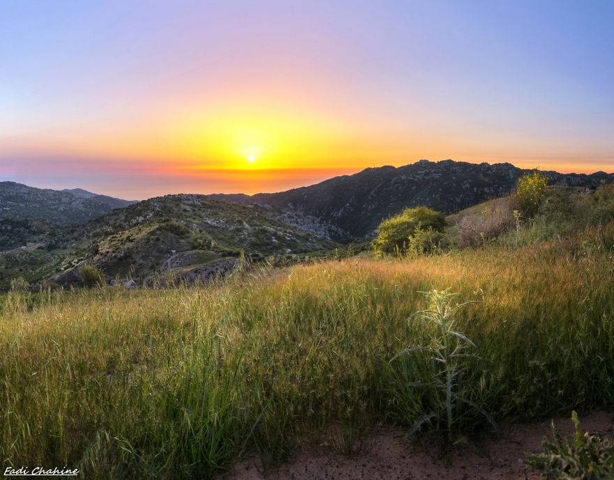 I Shoot Landscapes From My Country Lebanon