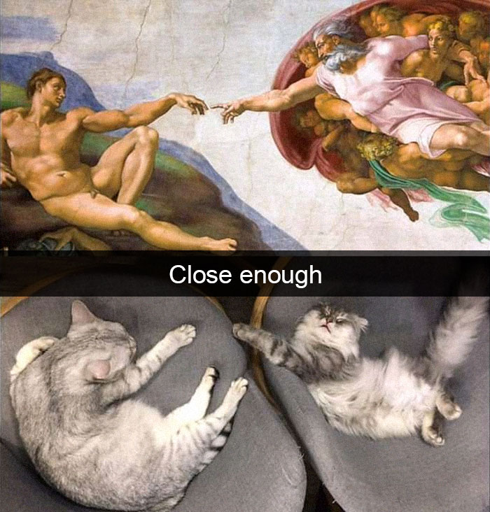 Cat-Snapchats
