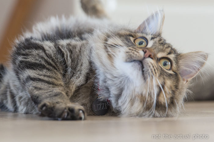 30 Dumbest Ways People Managed To Get Injured