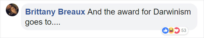 Man Thinks He's Special Enough To Pet A Lion, Ends Up With A Severe Injury