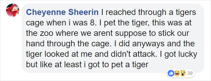 Man Thinks He's Special Enough To Pet A Lion, Ends Up With A Severe Injury