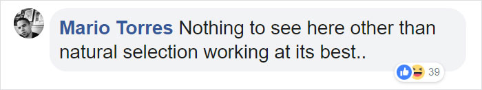 Man Thinks He's Special Enough To Pet A Lion, Ends Up With A Severe Injury