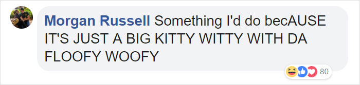 Man Thinks He's Special Enough To Pet A Lion, Ends Up With A Severe Injury