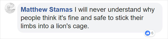 Man Thinks He's Special Enough To Pet A Lion, Ends Up With A Severe Injury