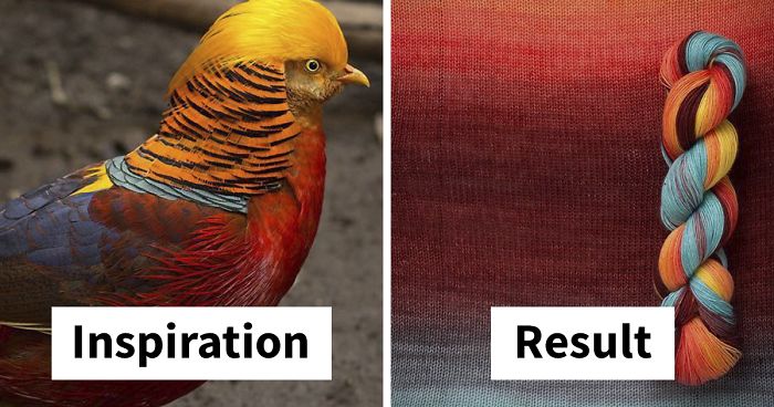 We Apply Nature’s Design Solutions To Create Unique Clothing