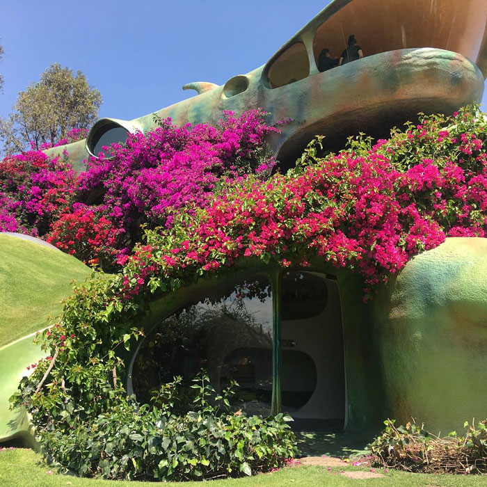 This Organic Hobbit House Is Perfectly Integrated Into Its Surroundings And Is Almost Invisible To Passers-By
