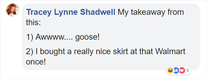 After This Geese Family Decided To Lay Eggs In Walmart's Parking Lot, The Employees Put Traffic Cones To Protect The Family