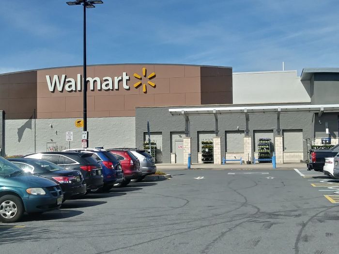 After This Geese Family Decided To Lay Eggs In Walmart's Parking Lot, The Employees Put Traffic Cones To Protect The Family After This Geese Family Decided To Lay Eggs In Walmart's Parking Lot, The Employees Put Traffic Cones To Protect The Family