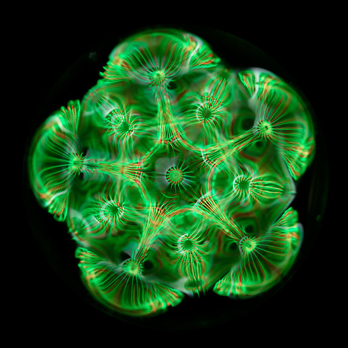 Scientist 'Photographs' Sounds By Using 'Simple' Cymatics Technique And The Results Are Out Of This World Scientist 'Photographs' Sounds By Using 'Simple' Cymatics Technique And The Results Are Out Of This World