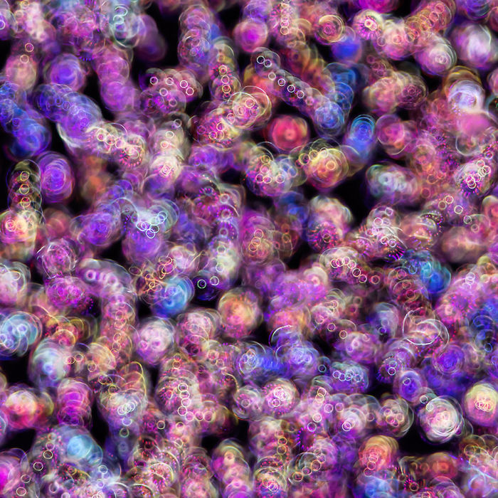 Scientist 'Photographs' Sounds By Using 'Simple' Cymatics Technique And The Results Are Out Of This World Scientist 'Photographs' Sounds By Using 'Simple' Cymatics Technique And The Results Are Out Of This World