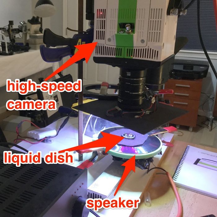 Scientist 'Photographs' Sounds By Using 'Simple' Cymatics Technique And The Results Are Out Of This World Scientist 'Photographs' Sounds By Using 'Simple' Cymatics Technique And The Results Are Out Of This World