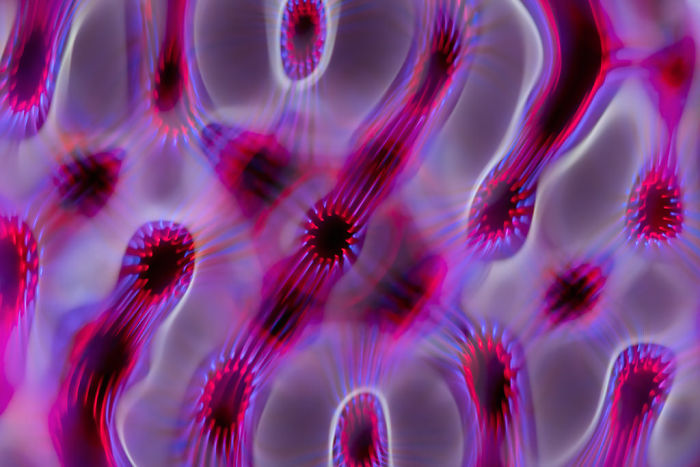 Scientist 'Photographs' Sounds By Using 'Simple' Cymatics Technique And The Results Are Out Of This World Scientist 'Photographs' Sounds By Using 'Simple' Cymatics Technique And The Results Are Out Of This World