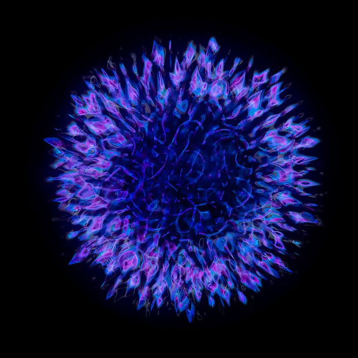 Scientist 'Photographs' Sounds By Using 'Simple' Cymatics Technique And The Results Are Out Of This World Scientist 'Photographs' Sounds By Using 'Simple' Cymatics Technique And The Results Are Out Of This World