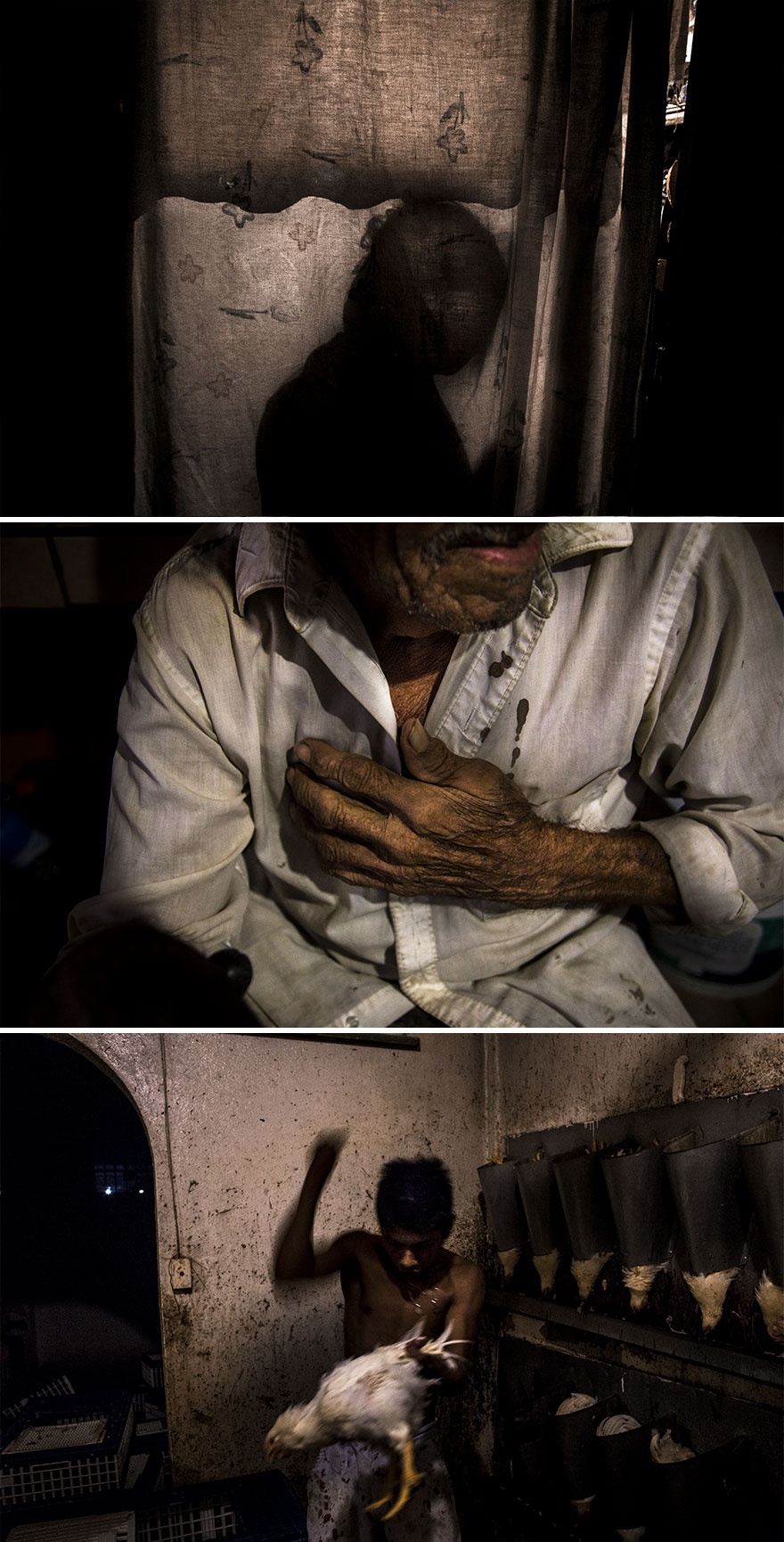 Long-Term Projects, Stories, 2nd Prize, "The House That Bleeds" By Yael Martínez