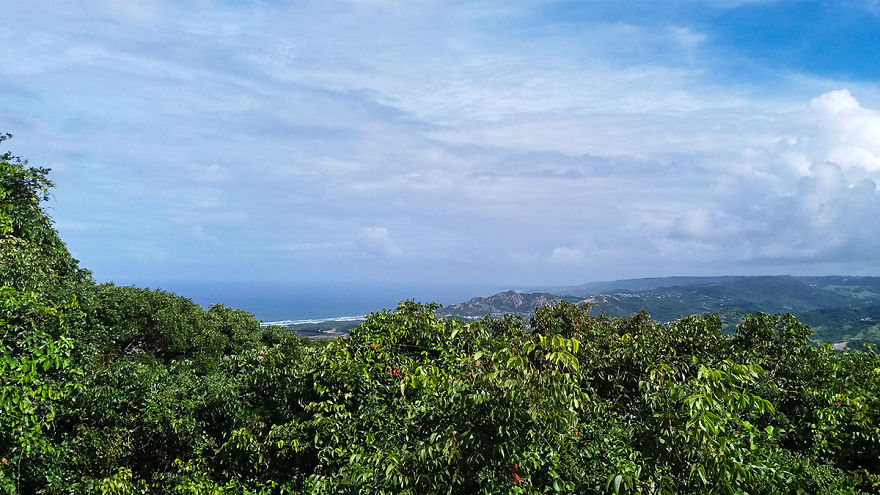 I Spent A Few Hours With The Animals At The Wildlife Reserve In Barbados
