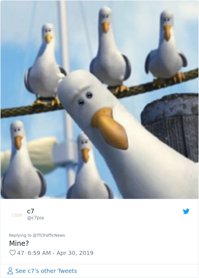 Two Seagulls - Graeme And Steve - Keep Showing Up On London Traffic Cam, Become Twitter-Famous