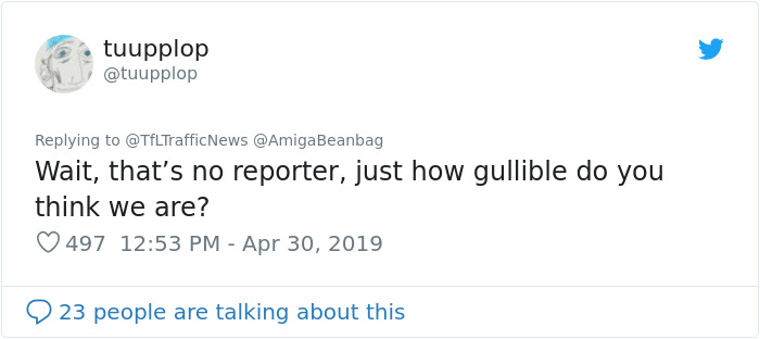 Two Seagulls - Graeme And Steve - Keep Showing Up On London Traffic Cam, Become Twitter-Famous