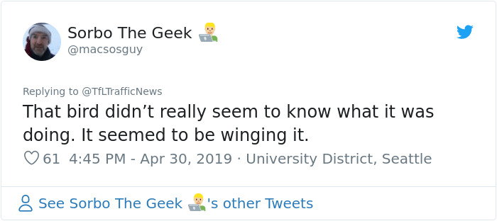 Two Seagulls - Graeme And Steve - Keep Showing Up On London Traffic Cam, Become Twitter-Famous