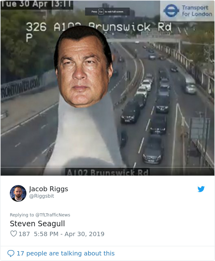 Two Seagulls - Graeme And Steve - Keep Showing Up On London Traffic Cam, Become Twitter-Famous