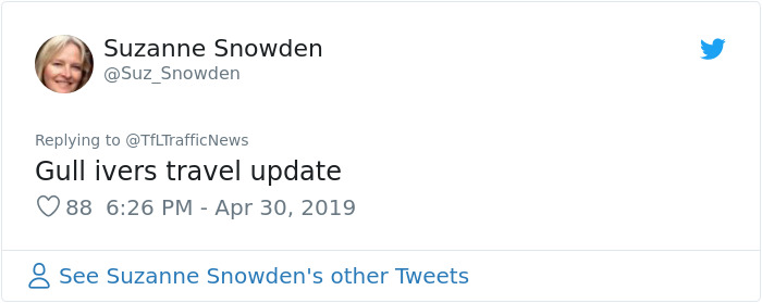 Two Seagulls - Graeme And Steve - Keep Showing Up On London Traffic Cam, Become Twitter-Famous