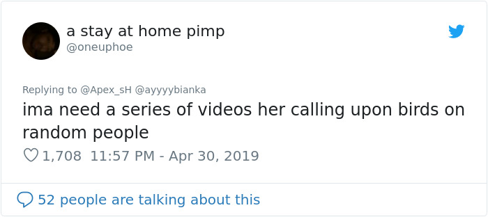 Girl Trains Her Bird To Attack People She Wants, And She Looks Like A Real Life Super Villain Girl Trains Her Bird To Attack People She Wants, And She Looks Like A Real Life Super Villain